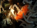 n_photo_04
