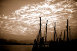 Kowloon Bay