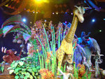 DSC00395