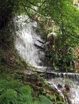 IMG_0413
