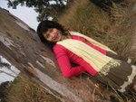PICT0003