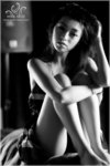 wMSC_3041[1]