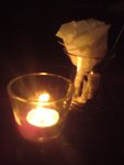 DSC08781