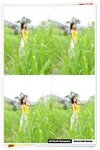 DSC_8584_9[1]