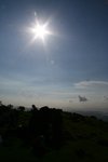 IMG_7137.sized