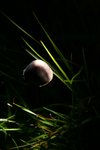 IMG_7439.sized