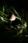 IMG_7444.sized
