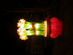花*