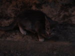 DSC02145