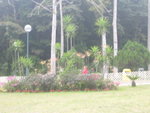 DSCN6271