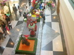 DSCN6275