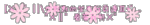 dcpgmg