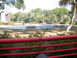 DSCN5774