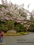 PICT2077