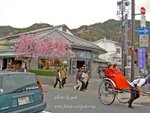 PICT6447