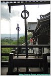 可試舉 DSC_9783 copy