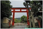 圓山公園 DSC_9897 copy