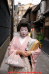 geisha 1