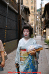 geisha 5