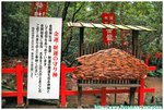 金龍神社 DSC_0300 copy