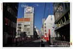 天氣真好!  DSC_8073