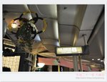賀年裝飾 DSC_8418