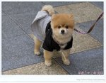 KAWAII~~~ DSC_9391