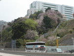 PICT0156