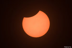 IMG_7405 copy