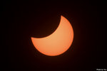 IMG_7421 copy