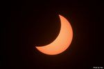 IMG_7434 copy