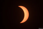 IMG_7455 copy
