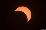 IMG_7474 copy
