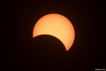 IMG_7489 copy