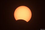 IMG_7504 copy