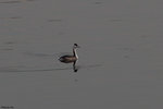 IMG_7617