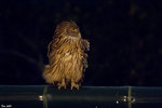 IMG_0158_S