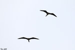 8J2A6739s
