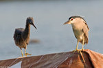 IMG_5194