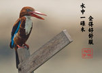 IMG_9275ps