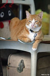 0715cat05
