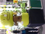 DSC02484