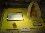 DSC02387