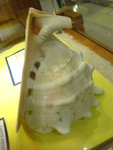 DSC02388