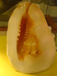 DSC02389
