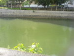 DSC01973