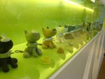 2% dog display
