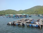 DSC00061