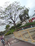 DSC00805