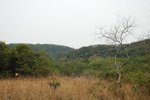 DSC_0012(001)